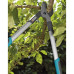 Сучкоріз для зелених гілок до 42 мм Gardena Classic 610 B 8766-29 та секатор до 18 мм Classic 8754-20