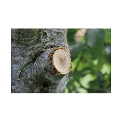 Сучкоріз із храповим механізмом Gardena SmartCut 590 A