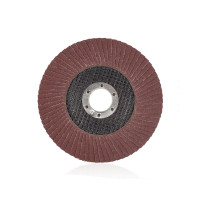 Sturmax 9010M-01-125-100 Коло зачистне пелюсткове (125×22 №100)