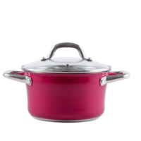 Каструля PR-2403-20 CAMELLIA PEPPER 20 х 11.5 см 3.3 л