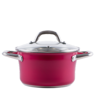 Каструля PR-2403-20 CAMELLIA PEPPER 20 х 11.5 см 3.3 л